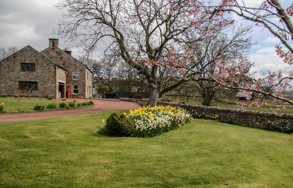Yellow House West Woodburn Luaran gambar